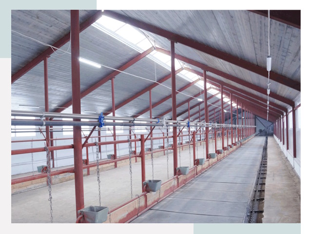 Строительство коровников в Тихорецке от 618 руб.